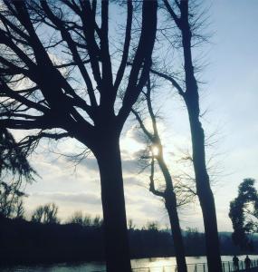 Rio Arno