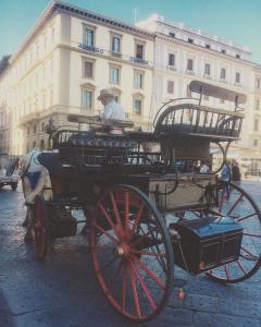coche de caballos en Plaza la República